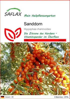 Produktbild von SAFLAX - Heilpflanzen - Sanddorn - 40 Samen - Hippophae rhamnoides