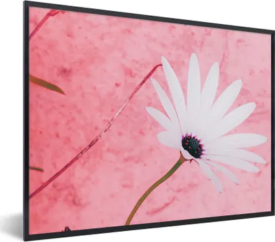 Produktbild von MuchoWow® Gerahmtes Poster Blumen - Rosa - Vintage 80x60 cm - Poster mit Schwarzem Bilderrahmen Wandposter Rahmen Foto Bilder - Schwarzem - Mit Gestell