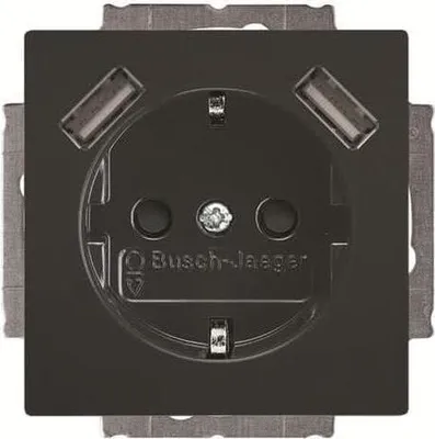 Immagine prodotto di BJ 20 EUCB2USB-81 SCHUKO-/2x USB-Steckdose (2CKA002011A6267)
