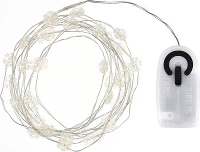 A string of LED lights with a battery pack.
