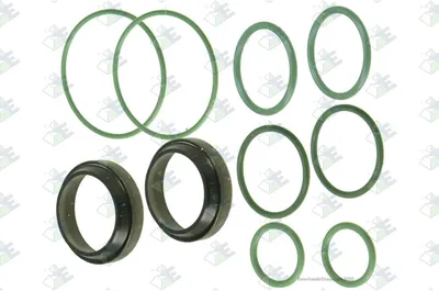 Image de Euroricambi kit de réparation cylindre de74530684 pour SCANIA 2 - series 0 02kg