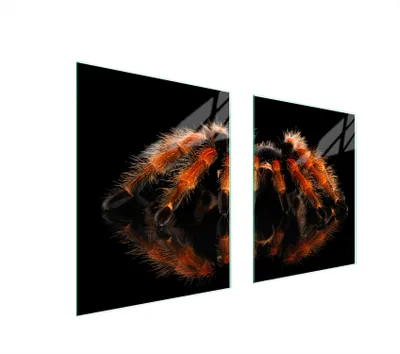 Image de Plaque de protection en verre pour cuisinière 85 x 52 SPIDER