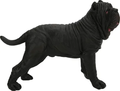 Immagine prodotto di Modello educativo di mastino napoletano per bambini, simulazione, decorazione in miniatura di animali per la casa