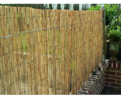Produktbild von NATURE Natur-Rohrmatte Sichtschutz 1 x 5 m, Schattierungsgrad 2/5, mit verzinktem Draht