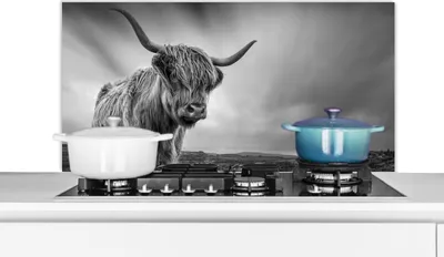 Produktbild von KitchenYeah®  Spritzschutz Küche - Küchenrückwand - Wandschutz für Herd und Spüle - Kühe - Schottische Hochlandkühe - Natur - Tiere - Schwarz und weiß 100x50 - Alu-Dibond (Alternative zum Spritzschutz
