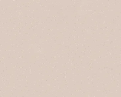 A plain, textured background.