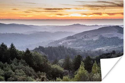 Produktbild von MuchoWow® Poster Berge - Sonne - Wald - Landschaft 120x80 cm - Bilder