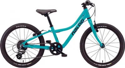 Produktbild von Naloo Chameleon 20", 8-Speed türkis