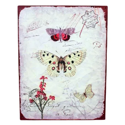 Produktbild von Shabby Blechschild Schmetterlinge