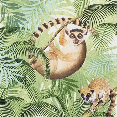 Produktbild von RP 20 Servietten Lemurs  - Lemuren 33x33cm