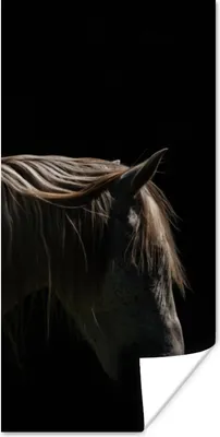 Produktbild von MuchoWow® Poster Pferd - Tiere - Weiß 20x40 cm - Plakat - Foto