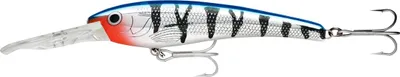 Image de Rapala Deep Thunder® (MBT)