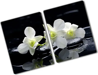 Produktbild von Tulup Glas Herdabdeckplatte - 2x40x52 cm - Glaskeramikkochfeld-Abdeckung Spritzschutz Glasabdeckplatte Kochplattenabdeckung und Schneidebrett - Zweiteilig - Blumen & Pflanzen - Orchidee - Weiß