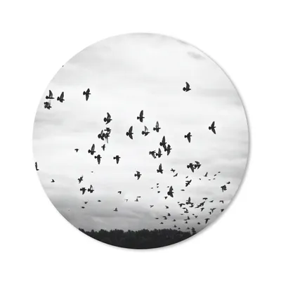 Produktbild von MuchoWow® Mauspad Mousepad Tiere - Vögel - Wolken - Schwarz - Weiß 20x20 cm - Mousepads - Maus Mat - Pad - Mausunterlage - Schreibtischmatte