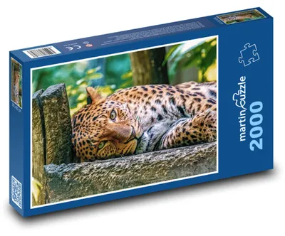 Produktbild von martinpuzzle - Puzzle 2000 Teile - Leopard - Tier
