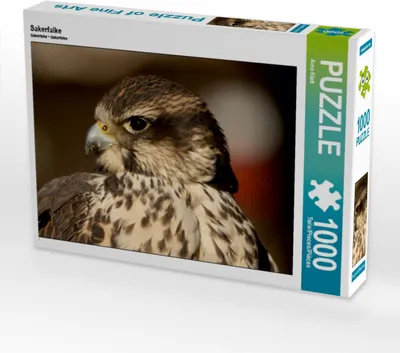 Produktbild von Calvendo Sakerfalke 1000 Teile Puzzle quer 640x480mm, Klatt Arno; 7292608