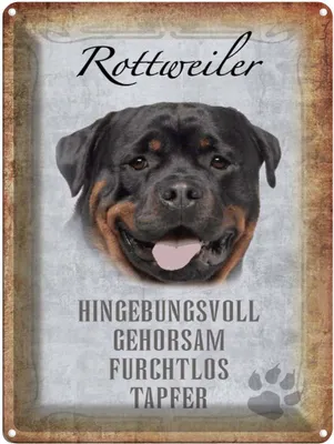 Produktbild von vianmo Blechschild 40x30 cm Rottweiler Hund