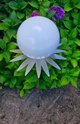 Produktbild von Blütenzauber Milano Rosenkugel 15 cm Edelstahl weiß matt gebürstet Gartenstecker Deko mit Stab 80 cm