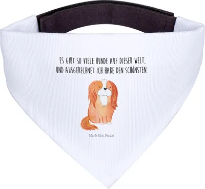 Produktbild von Mr. & Mrs. Panda Hund Halstuch Hund Cavalier King Charles Spaniel - Weiß - Geschenk, Hunde-Halstuch, Sprüche, Tuch, Hundehalstuch, Spruch, Cockerspaniel, Bester
