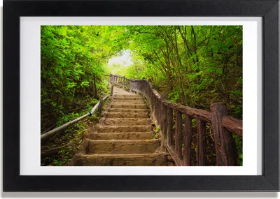 Produktbild von Bild 30x20 MDF-Rahmen, Wandkunst Treppen im Wald