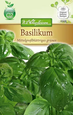 Produktbild von Basilikum Mittelgroßblättrig | Basilikumsamen von N.L. Chrestensen