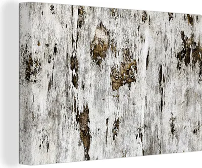 Obrázok produktu pre OneMillionCanvasses® - Obrazy na plátne - 150x100 cm, Breza - Biela - Drevo, Nástenná umelecká tlač Nástenná dekorácia - Fotografia na plátne - Obraz na drevenom ráme