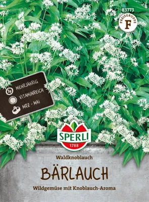 Produktbild von SPERLI Bärlauchsamen Waldknoblauch Allium ursinum 35 Pflanzen