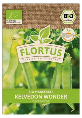 Produktbild von Markerbse Kelvedon Wonder | Erbsensamen von FLORTUS