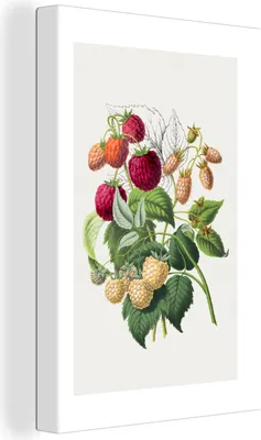 Produktbild von OneMillionCanvasses® - Leinwandbilder - 90x140 cm, Himbeeren - Obst - Lebensmittel, Wandbilder Kunstdruck Wanddekoration - Foto auf Leinwand - Gemälde auf Holzrahmen  - Wandschmucke - Schlafzimmer