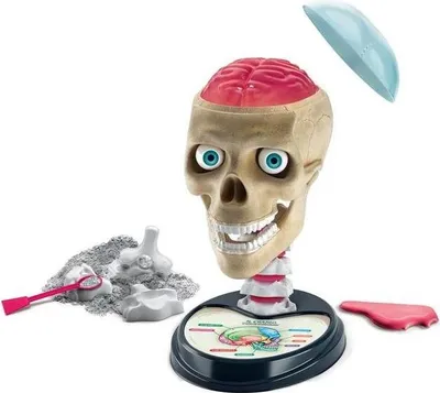 Image de Clementoni Science & Jeu laboratoire 19212 Kit & Jouets scientifiques pour enfants