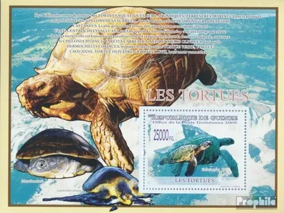 Produktbild von Briefmarken Guinea 2009 Mi Block 1663 (kompl. Ausgabe) postfrisch Schildkröten, Chelonia mydas