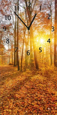 Produktbild von Wallario Design Wanduhr bedruckt, Größe 30 x 60 cm, Motiv: Sonnenuntergang im herbstlichen Wald