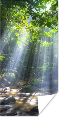 Produktbild von MuchoWow® Poster Sonnenstrahlen dringen durch die Bäume in den Regenwald von Malaysia 60x120 cm - Wandschmuck