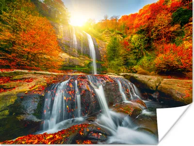 Produktbild von MuchoWow® Poster Wasserfall - Natur - Herbst - Rot - Wasser 80x60 cm - Kunst für zu Hause