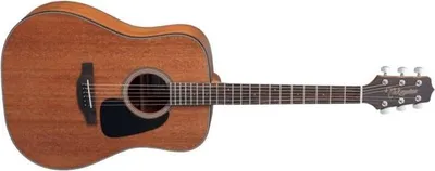 Obrázek produktu pro Takamine GD11M-NS