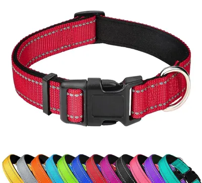 Image de Collier réfléchissant pour chien, réglable, en néoprène rembourré, en nylon, de couleur rouge, taille XL