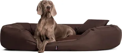 Produktbild von tierlando Hundebett SAMMY Ovales Hundesofa für große Hunde Robuster Polyester Dicke Umrandung - Größe: 170x110cm | Farbe: 01 Braun