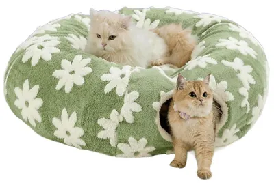 Immagine prodotto di Tunnel pieghevole per gatti, con cuccia e pallina giocattolo, colore verde