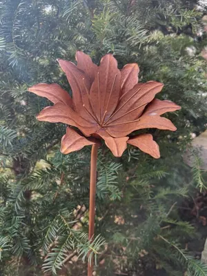 Produktbild von Edelrost Blume Alessia