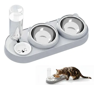 Image de Solidchoice - Gamelle pour chats 3-en-1 avec distributeur d'eau, en acier inoxydable