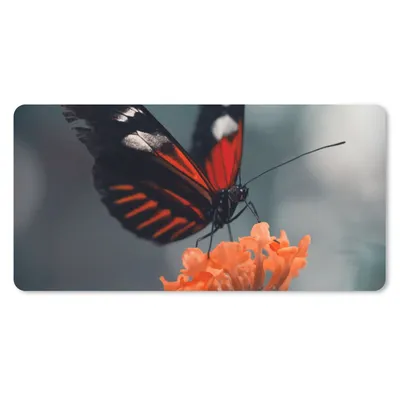 Produktbild von MuchoWow® Schreibtischunterlage Schmetterling - Blume - Insekt 80x40 cm - XXL Mauspad - Gaming Mauspad