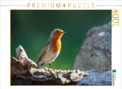Produktbild von CALVENDO Puzzle Rotkehlchen im Sonnenlicht | 1000 Teile Lege-Größe 64x48cm Foto-Puzzle für glückliche Stunden