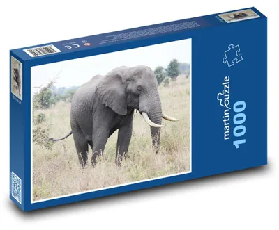 Zdjęcie produktu dla Puzzle 1000 Słoń na wolności - martinpuzzle