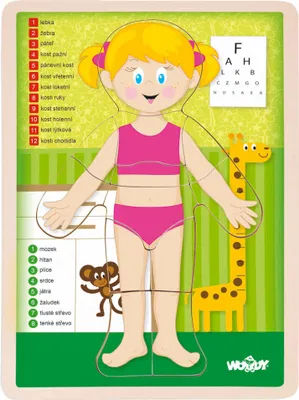 Obrázok produktu pre Puzzle "Ľudské telo" - Dievča CZ