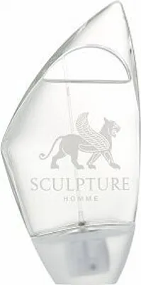 Produktbild von Nikos Sculpture Pour Homme toaletní voda pro muže 100 ml