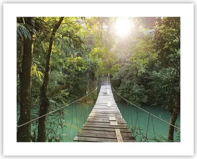Produktbild von Poster - Poster ohne Rahmen - Brücke Seil Dschungel - 50x40 cm - Wand Bild - Wanddeko - Wandbilder - Kunstposter - Wandposter - Bilder - Kunstdruck - Wanddekoration - Wandbild - P2XAA50x40-4397