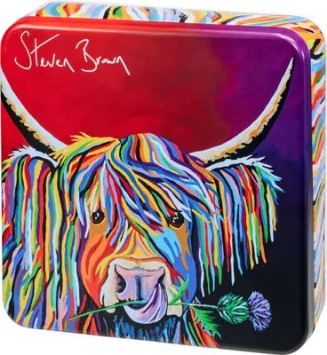Image de Steven Brown Lizzie McCoo Fudge au caramel salé en boîte cadeau 200g