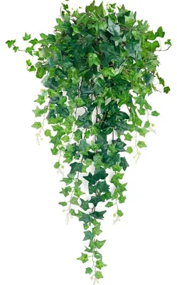 Image de Lierre artificiel, plante suspendue, 120 cm, 18 branches, guirlande artificielle, soie artificielle, fil de plastique
