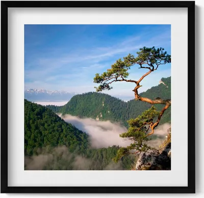 Produktbild von Sokolica-Gipfel im Pieniny-Gebirge– Wandbild mit Rahmen – Gerahmtes Bild  – Wanddekoration – 50x50 cm –  Schwarz Rahmen