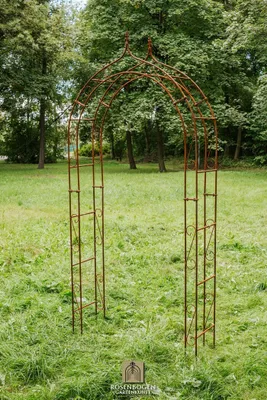 Image de Arc de roses ALEX Lilie Spitze 240 cm rouille noble